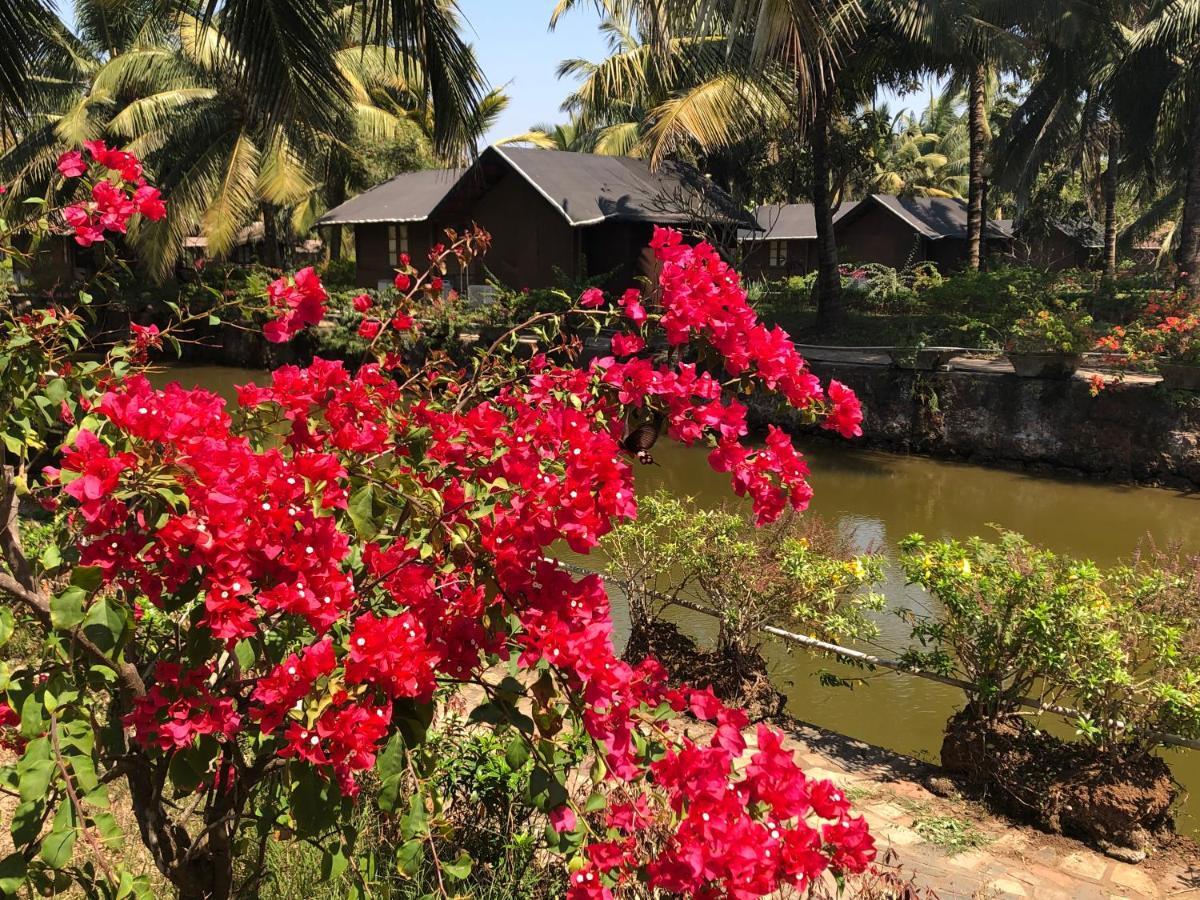 Resort Primo Bom Terra Verde Baga Eksteriør billede